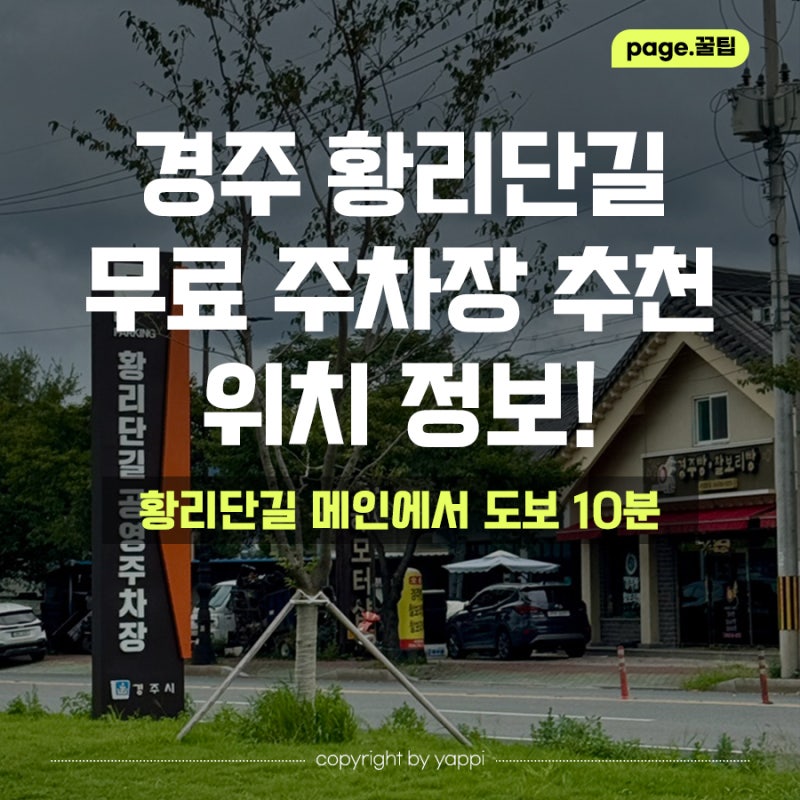 경주 황리단길 무료 공영주차장 주소 위치 및 주차 꿀팁(대구근교가을꽃놀이추천)