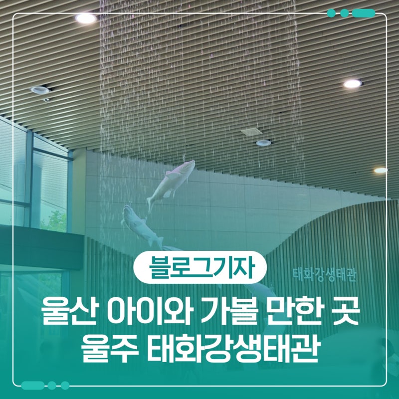 울산 아이와 가볼 만한 곳 울주 태화강생태관 다녀왔어요