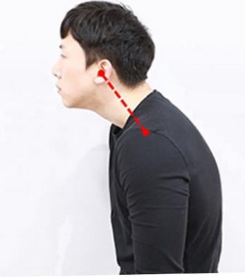 거북목교정기 어떤 게 맞을까, 6가지 유형 비교