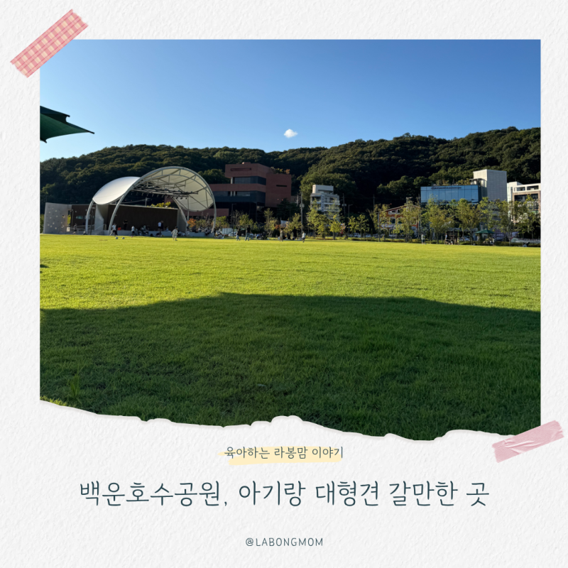 서울 근교 갈만한곳 아기랑 대형견 함께 백운호수공원 후기