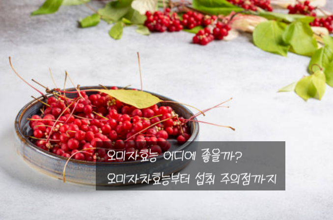오미자효능 어디에 좋을까? 오미자차효능부터 섭취 주의점까지