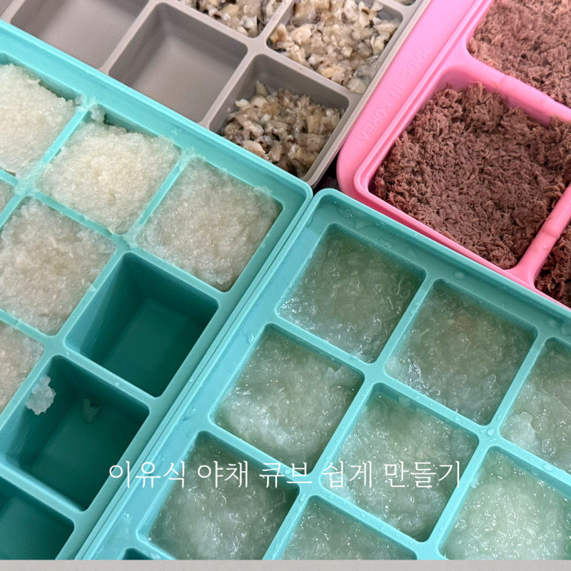 이유식 야채 큐브 만들기 표고버섯 애호박 당근 무 단호박 양파 쉽게 만드는 방법