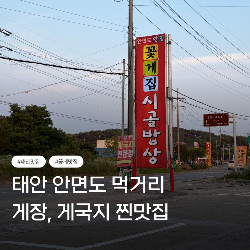 태안 안면도 게국지 간장게장 맛집 꽃게집 시골밥상