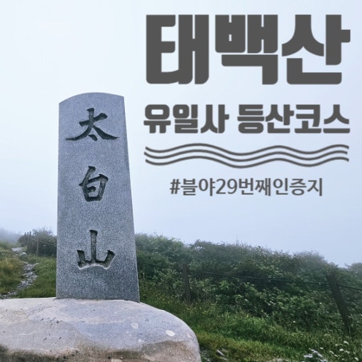 직접 가본 후기 비가 오는 강원도 태백산 국립공원 유일사 등산코스