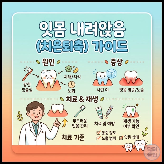 잇몸 내려앉음 원인과 치료 방법 치은퇴축 증상부터 치료 기준 재생 가능여부까지