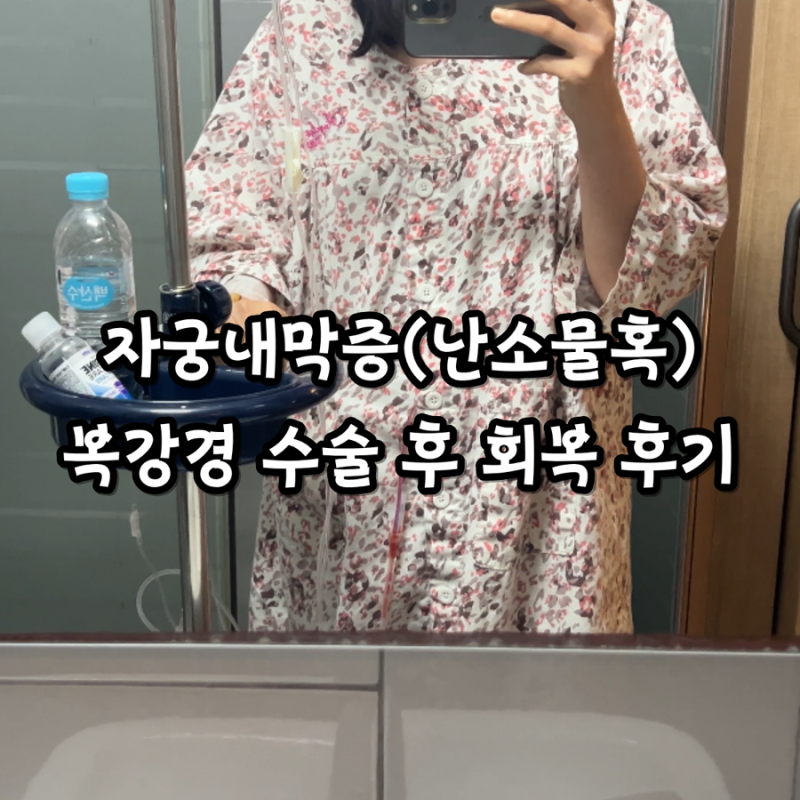 자궁내막증 복강경 수술 후 한 달 회복 후기 : 실비청구 흉터관리 생리주기