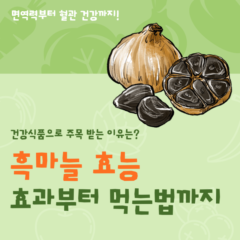 흑마늘 효능 효과 7가지, 꾸준히 먹으면 좋은 이유는?