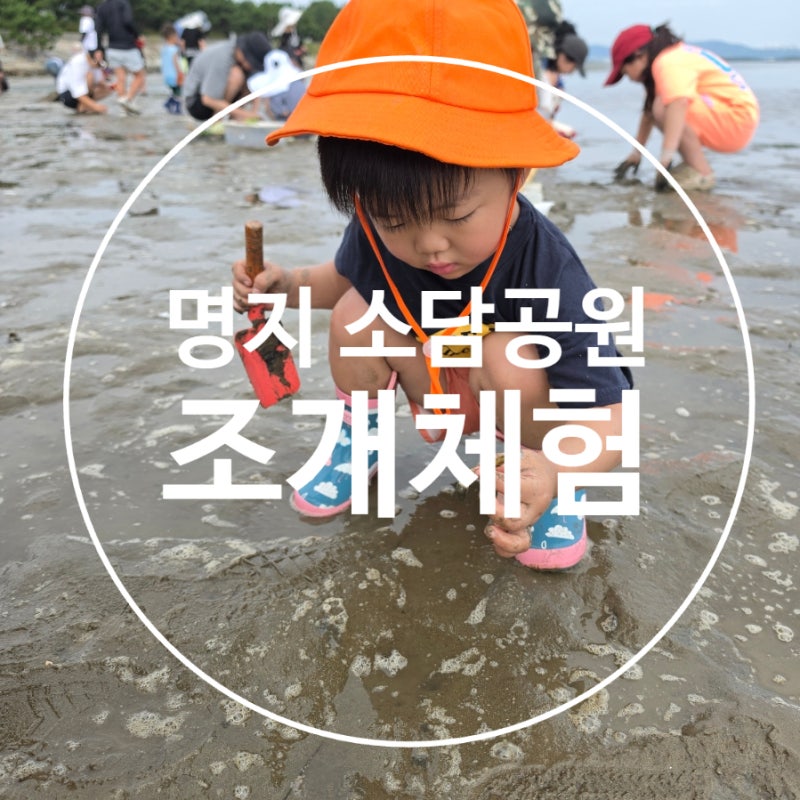 부산 명지 신호동 소담공원 갯벌 체험 (부산아이와 가볼만한 곳 물때, 주차, 준비물)