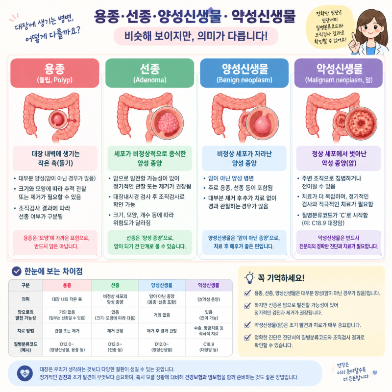 대장내시경에서 용종이 나왔다면? 선종·양성신생물·대장암 차이와 보험 담보 확인법
