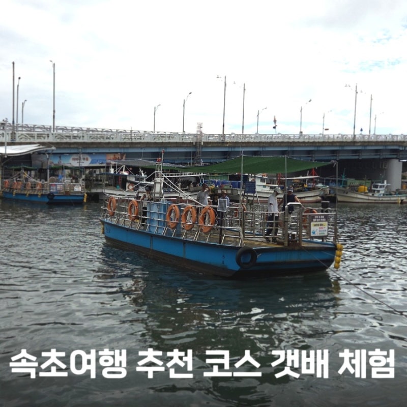 아이랑 속초여행 추천 코스 아바이마을 갯배 타는 곳 위치와 무료 주차정보까지