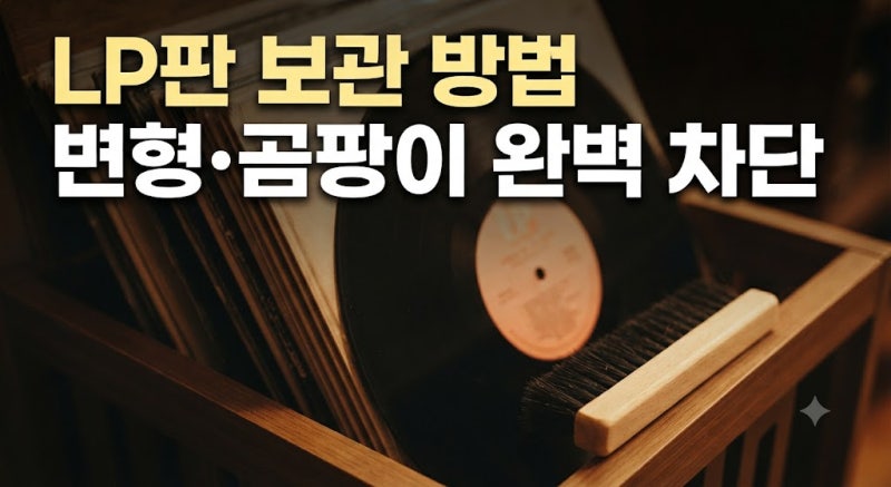 초보자를 위한 LP 보관 방법 및 관리 꿀팁 총정리