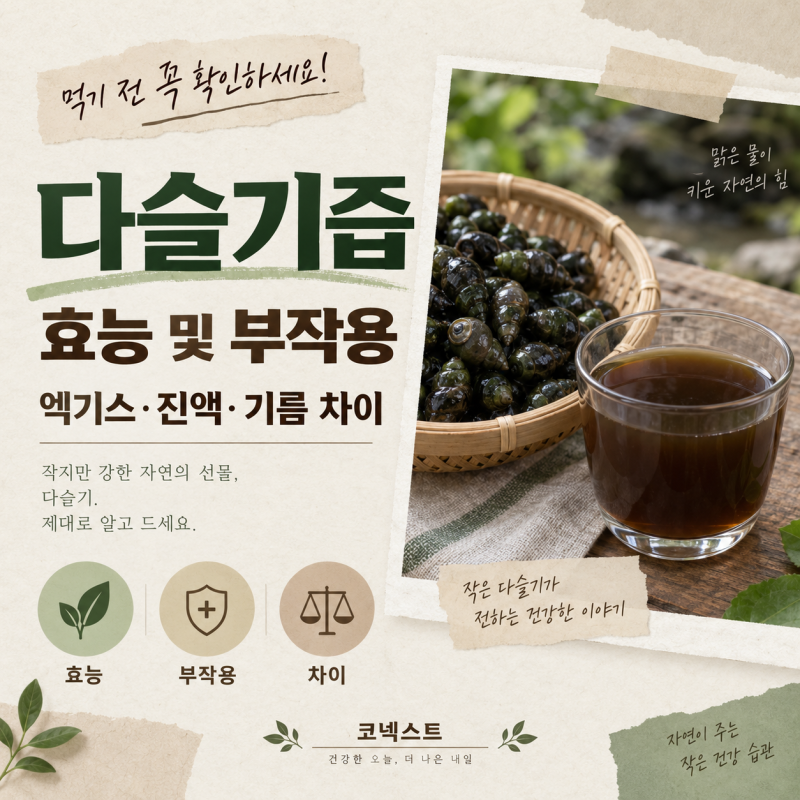 다슬기즙 효능 및 부작용, 다슬기엑기스, 다슬기진액, 다슬기기름 차이 3가지 오해하기 쉬운 ....