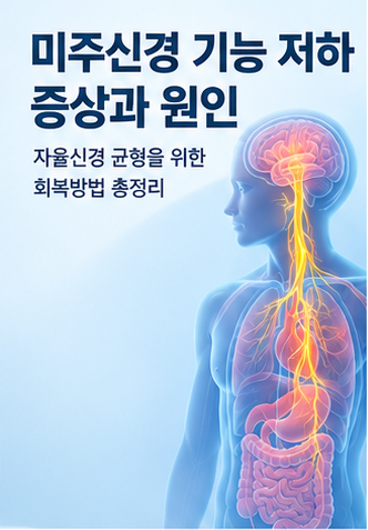 미주신경 기능 저하 증상과 원인｜자율신경 균형을 위한 회복방법 총정리
