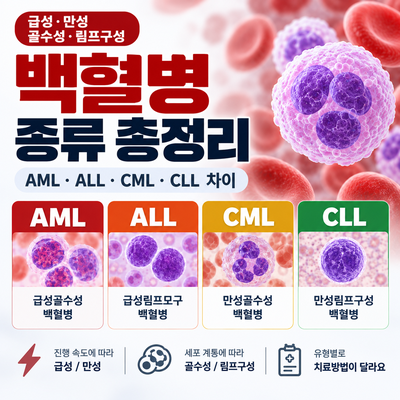 2026 백혈병 종류 총정리｜급성·만성, 골수성·림프구성, AML·ALL·CML·CLL 차이