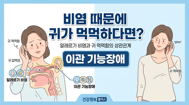 비염 때문에 귀가 먹먹한 이유 | 이관 기능장애 원인과 관리법