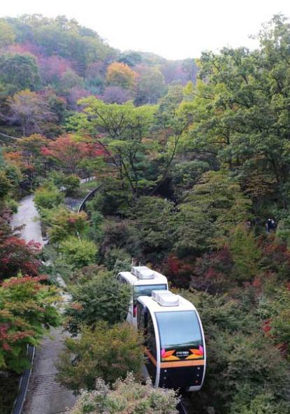 곤지암 리조트 화담숲 패키지 할인 셔틀버스