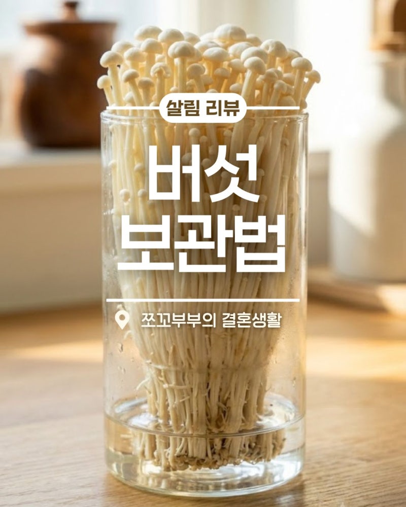 버섯 절대 그냥 냉장고에 던져두지 마세요! 99%가 모르는 버섯 초신선 밀폐 공식