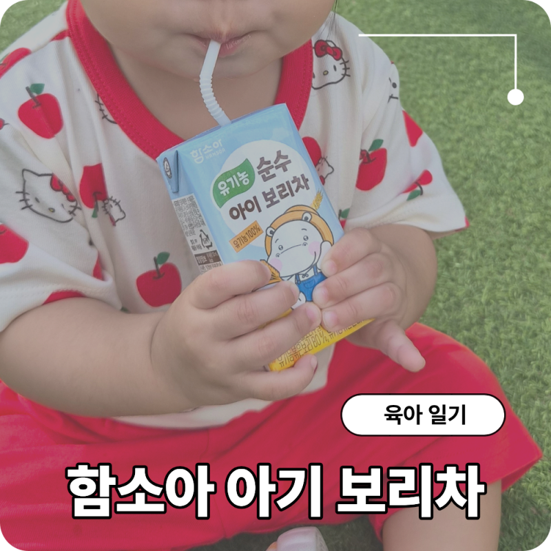 아기 보리차 추천, 실온보관으로 간편한 함소아 유기농 보리차