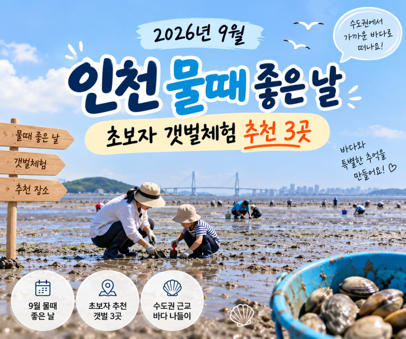 2026년 9월 인천 물때 좋은 날｜초보자 갯벌체험 추천 3곳