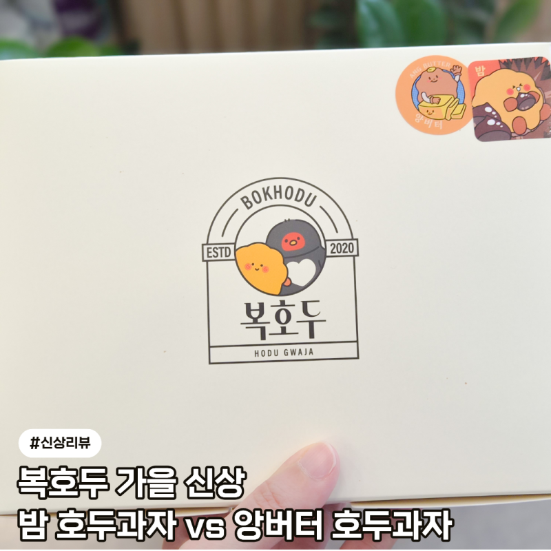 복호두 가을 신메뉴 솔직후기, 밤 호두과자 앙버터랑 비교해보니