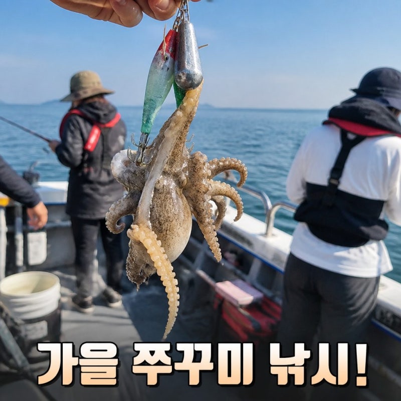 가을철 쭈꾸미 낚시 즐기기 좋은 시기와 주의사항