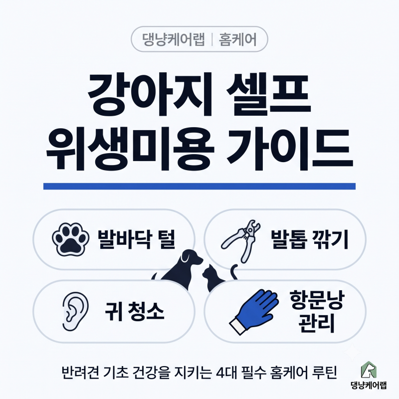 강아지 기초 위생 미용 셀프 케어 가이드: 발바닥 털·발톱·귀·항문낭 관리법