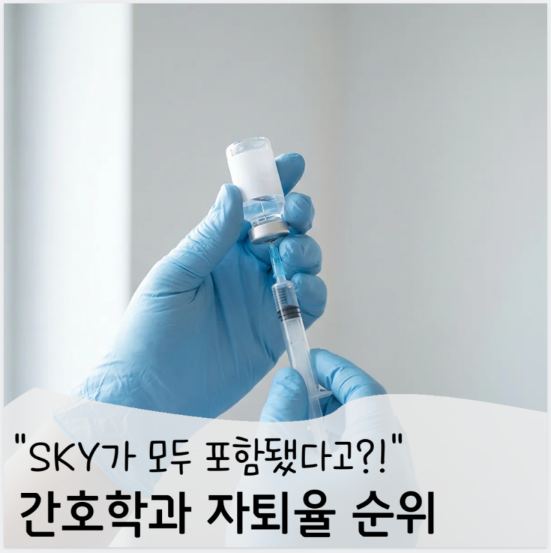 2026 전국 간호학과 자퇴율 순위. 서울대 연세대 고려대 모두 포함