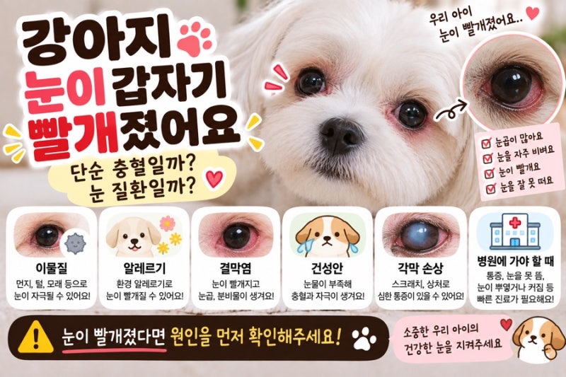 강아지 눈이 충혈되는 이유 눈이 빨개졌다면 단순 피로일까? 눈에 문제가 생긴 걸까?