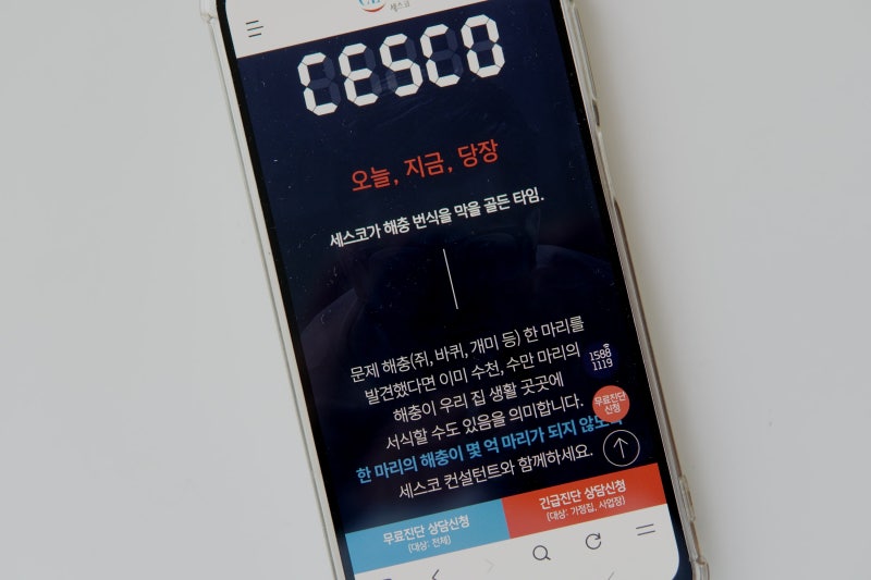세스코 포충기 사계절 필요한 이유와 다양한 솔루션 비용까지