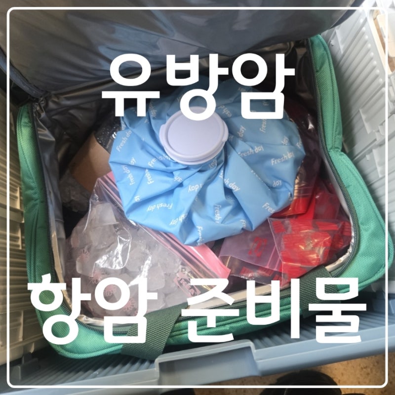 유방암 항암치료 준비물 과정 리얼후기 총정리