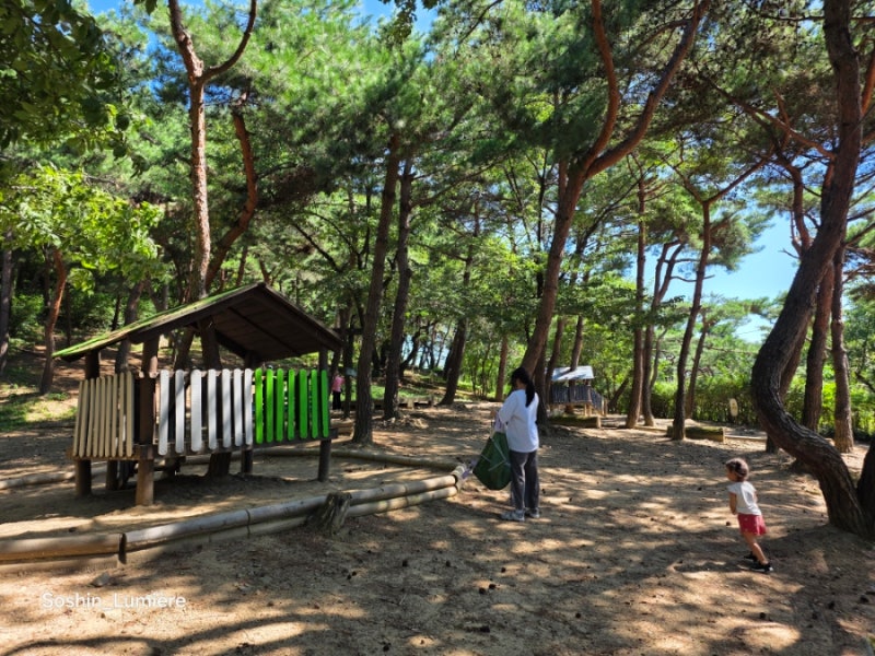 아이와 서울 도심 나들이｜남산 한국숲정원 한남유아숲체험원에서 즐긴 숲속 힐링 놀이