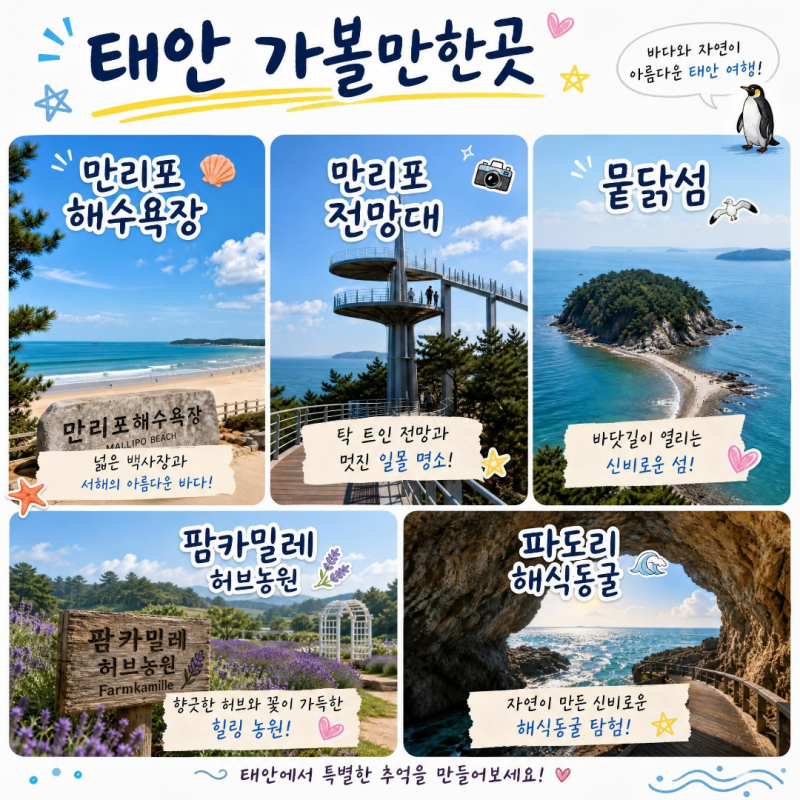 태안 1박2일 여행코스 완벽정리 | 만리포해수욕장·뭍닭섬·만리포전망타워·파도리해식동굴....