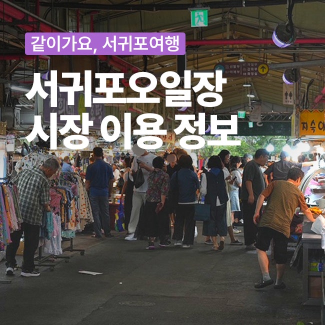 서귀포향토오일시장 장날은 언제? 서귀포오일장 날짜와 시장 이용 정보