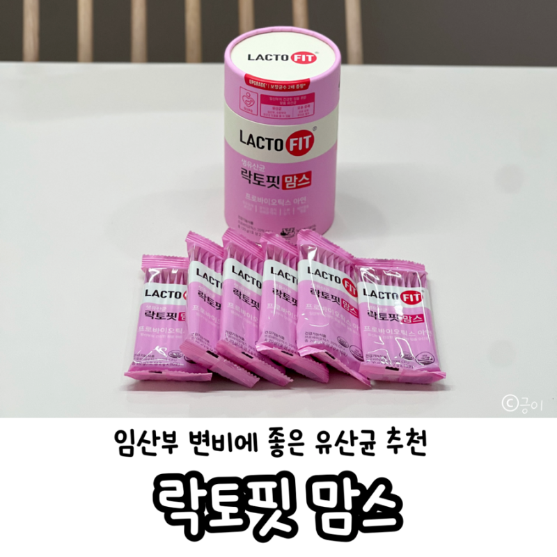 임산부 유산균 추천ㅣ락토핏 맘스 내돈내산 후기