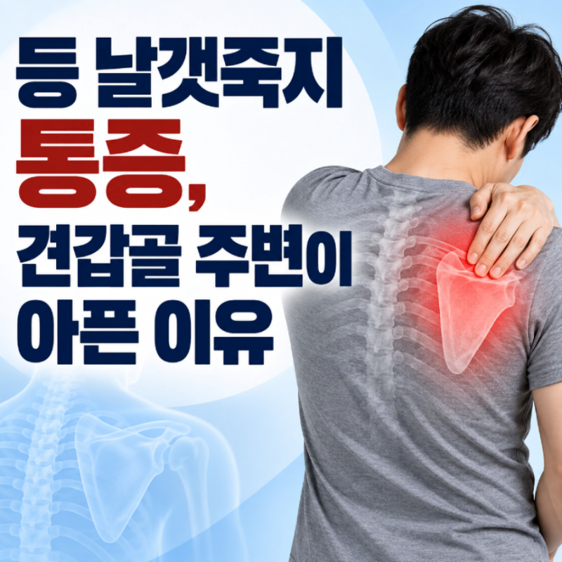 날개죽지 통증 능형근 오른쪽 왼쪽 날개뼈 통증 원인