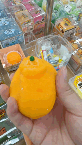 말친자(?)의 대전역 말랑이 성지 Sh몰 방문기｜가격부터 종류까지… (스압 주의!)