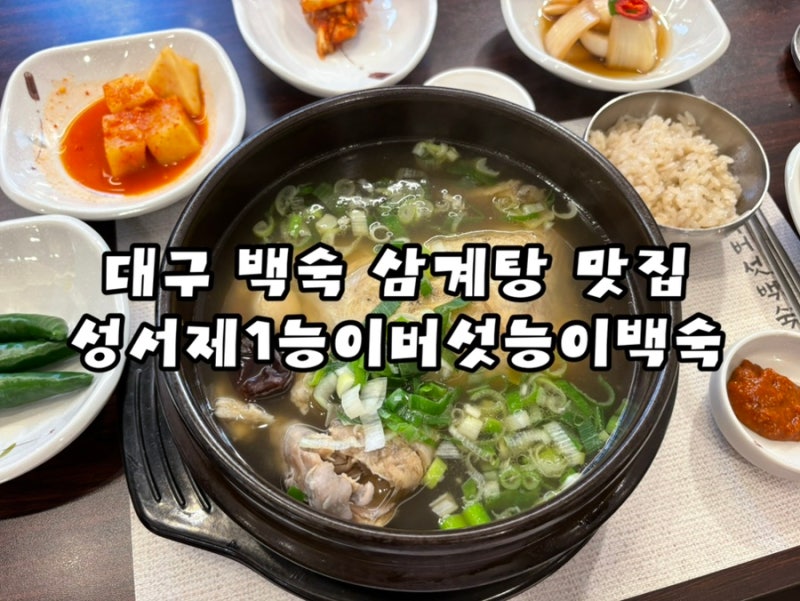 대구 삼계탕 맛집 성서제1능이버섯능이백숙 블루리본 능계탕 솔직후기