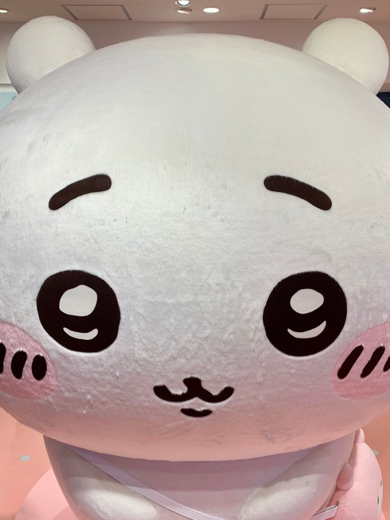 도쿄 치이카와 랜드 투어 레스토랑 베이커리 토벌 사진털이