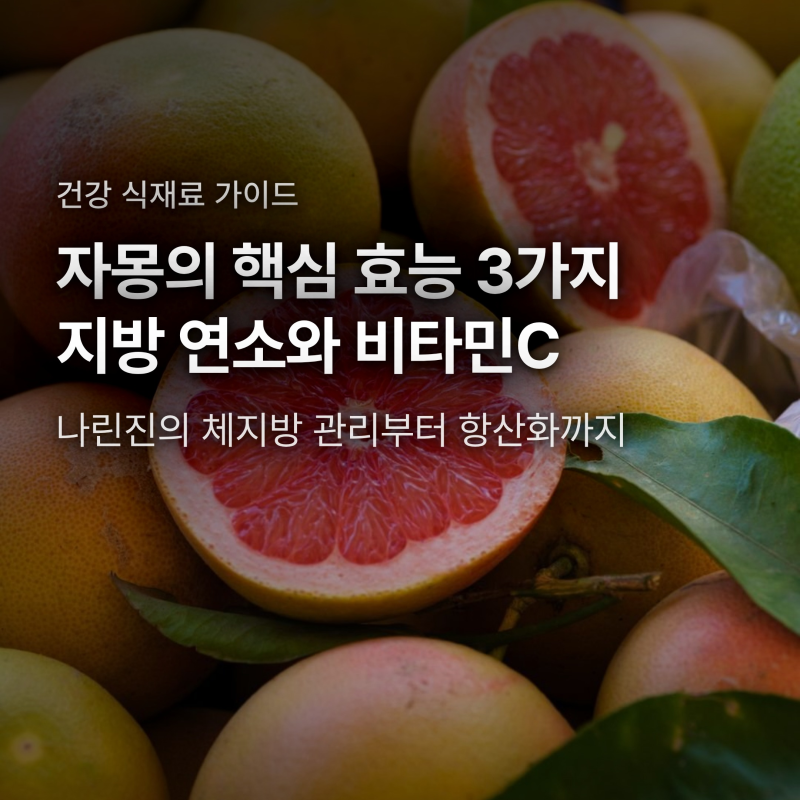 자몽의 핵심 효능 3가지, 지방 연소와 비타민C 항산화 올바른 섭취법