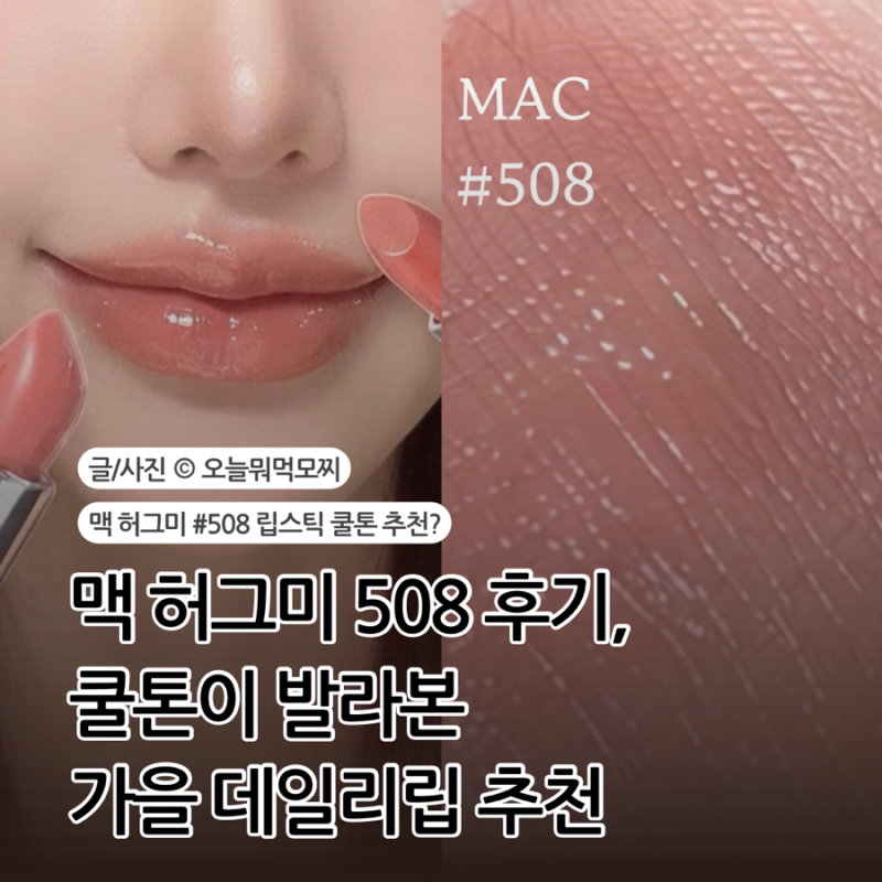 맥 허그미 508 후기, 쿨톤이 발라본 가을 데일리립 추천