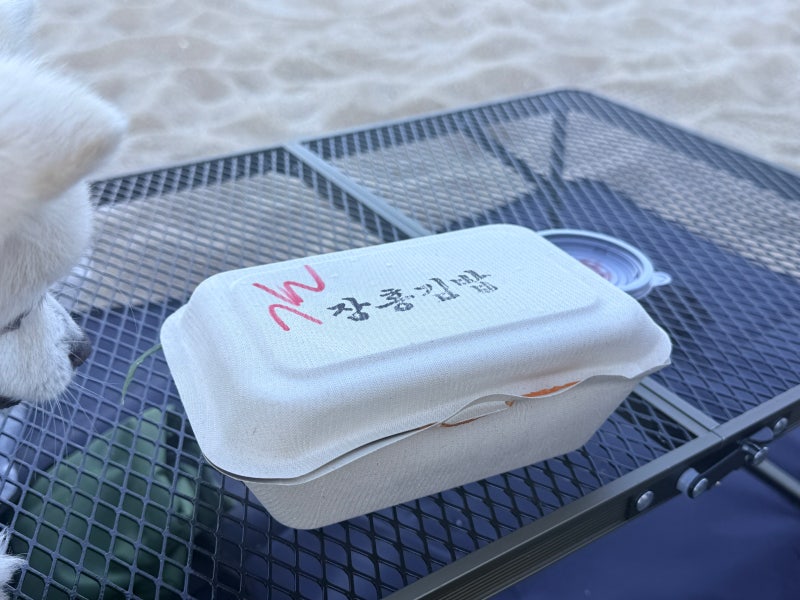 속초 ㅣ 속초 강아지동반 여행 먹거리 후기 중앙시장부터 등대해수욕장 장홍김밥 속초여행....