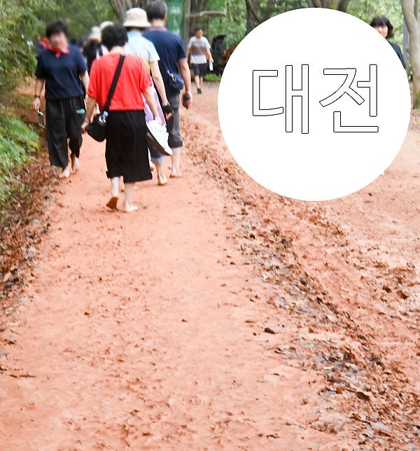 대전 계족산 황톳길 황토길 등산코스 장동산림욕장