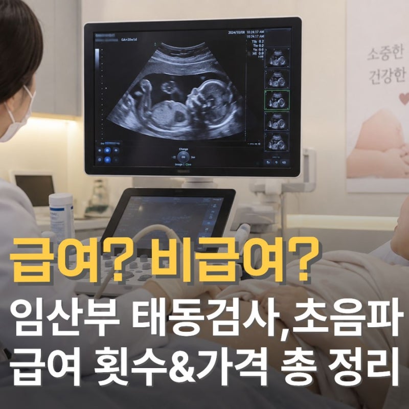 임산부 초음파와 태동검사 급여 횟수 그리고 비급여 가격부터 건강보험 적용 여부까지