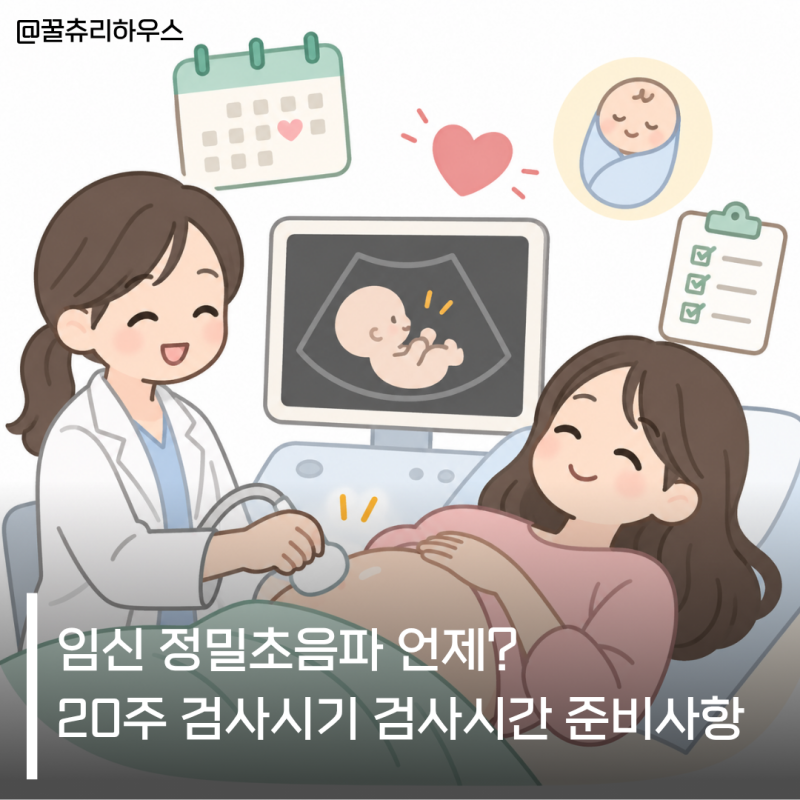 임신 정밀초음파 언제? 20주 검사시기 검사시간 준비사항