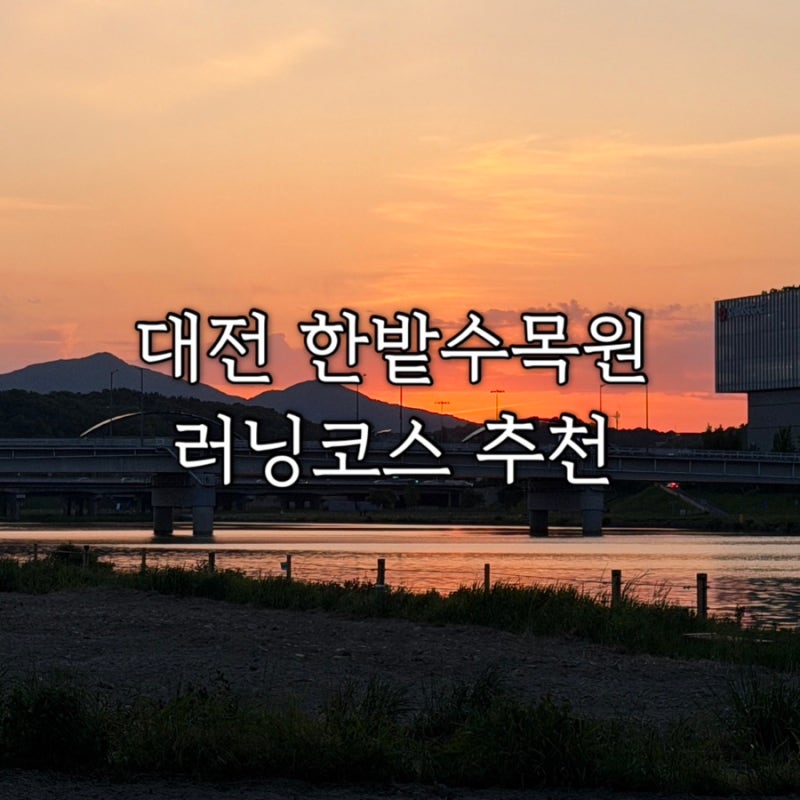 대전 러닝 성지 ♀️ 한밭수목원부터 갑천변까지｜3km·5km·10km 코스 추천
