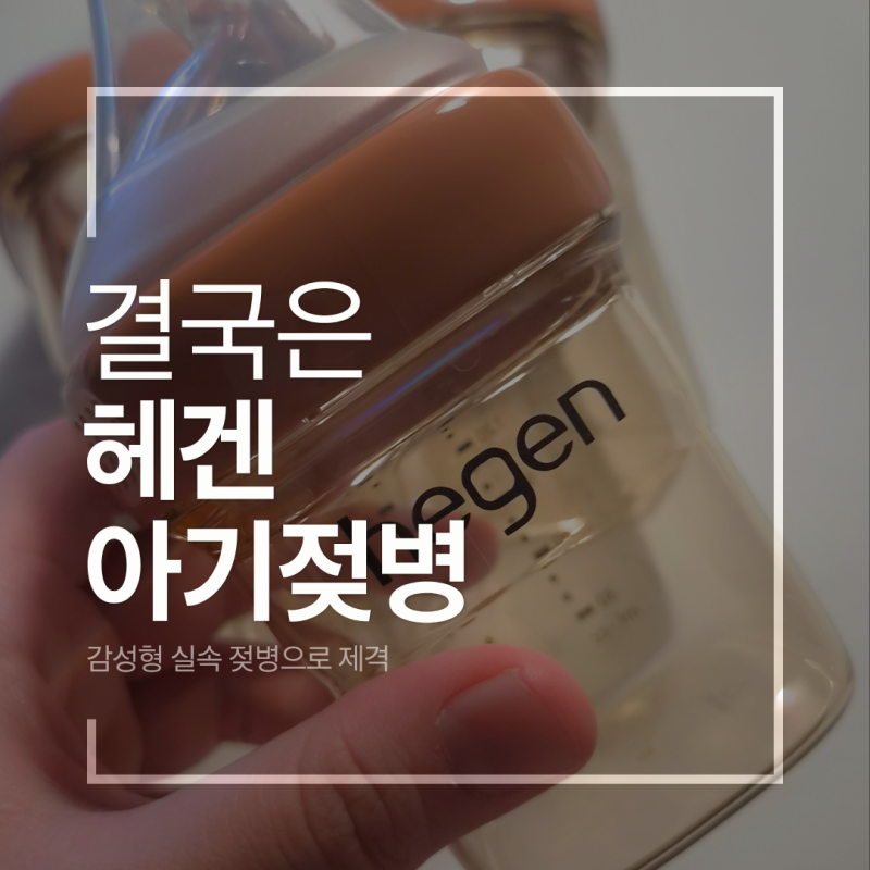 육아제품리뷰ㅣ 아기 젖병은 결국 헤겐..!
