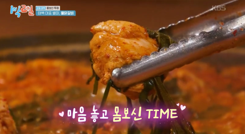 1박2일 태백 물닭갈비 어디? 몸보신 투어 맛집 위치·가격·메뉴 총정리