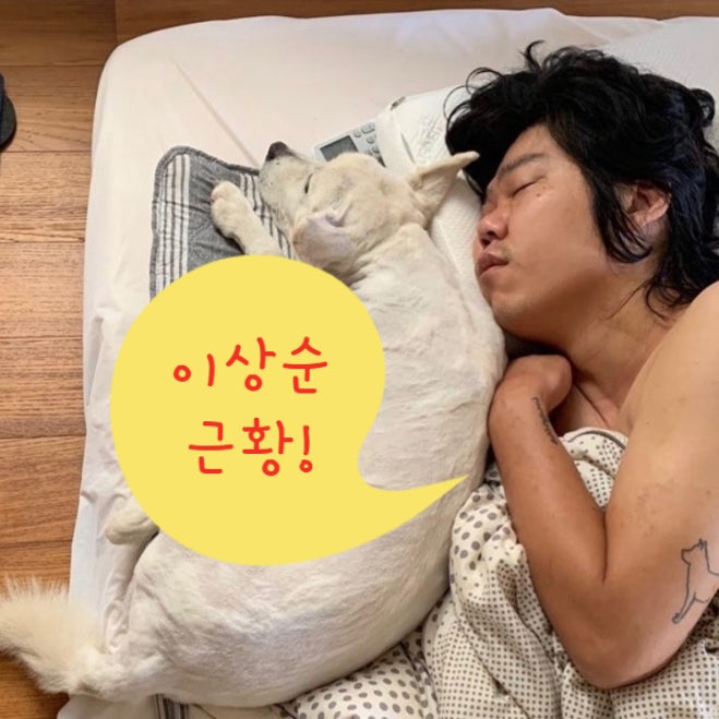 이상순 미주신경기능저하 라디오 불참 근황 ! 완벽한 하루 건강 휴가 대타 집안 사주 MBTI 나....