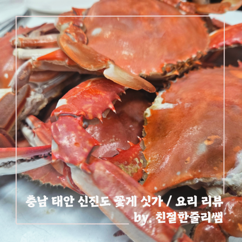 신진도 꽃게 시세 가격부터 꽃게찜, 꽃게탕 먹고 온 후기 / 식당 추천