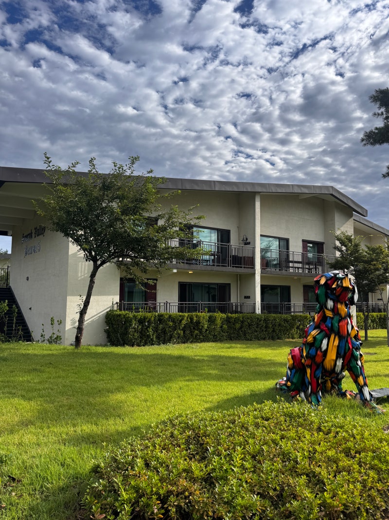Goseong Sokcho Family Accommodation Recommendation: Pet-Friendly Kensington Resort Seorak Valley Pet Bern Review